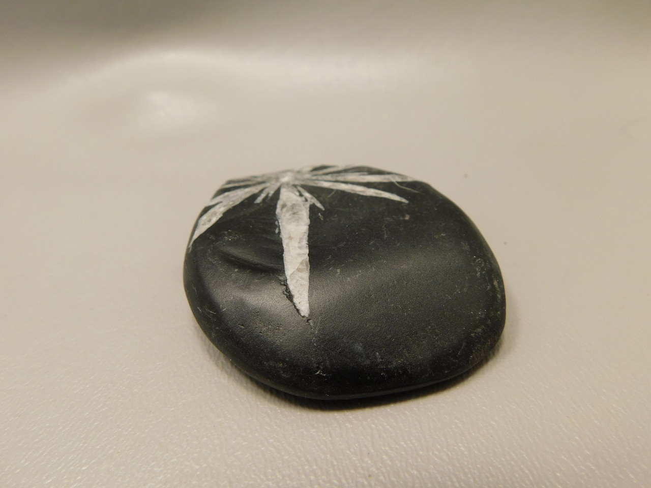 Chrysanthemum Stone 2.67 inch Palm Worry Natural Rock #O24