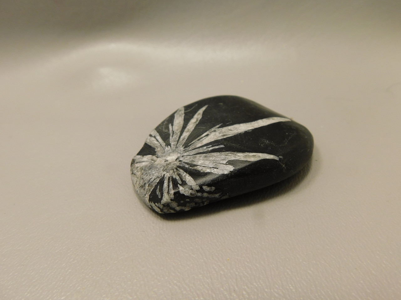 Chrysanthemum Stone 2.67 inch Palm Worry Natural Rock #O24