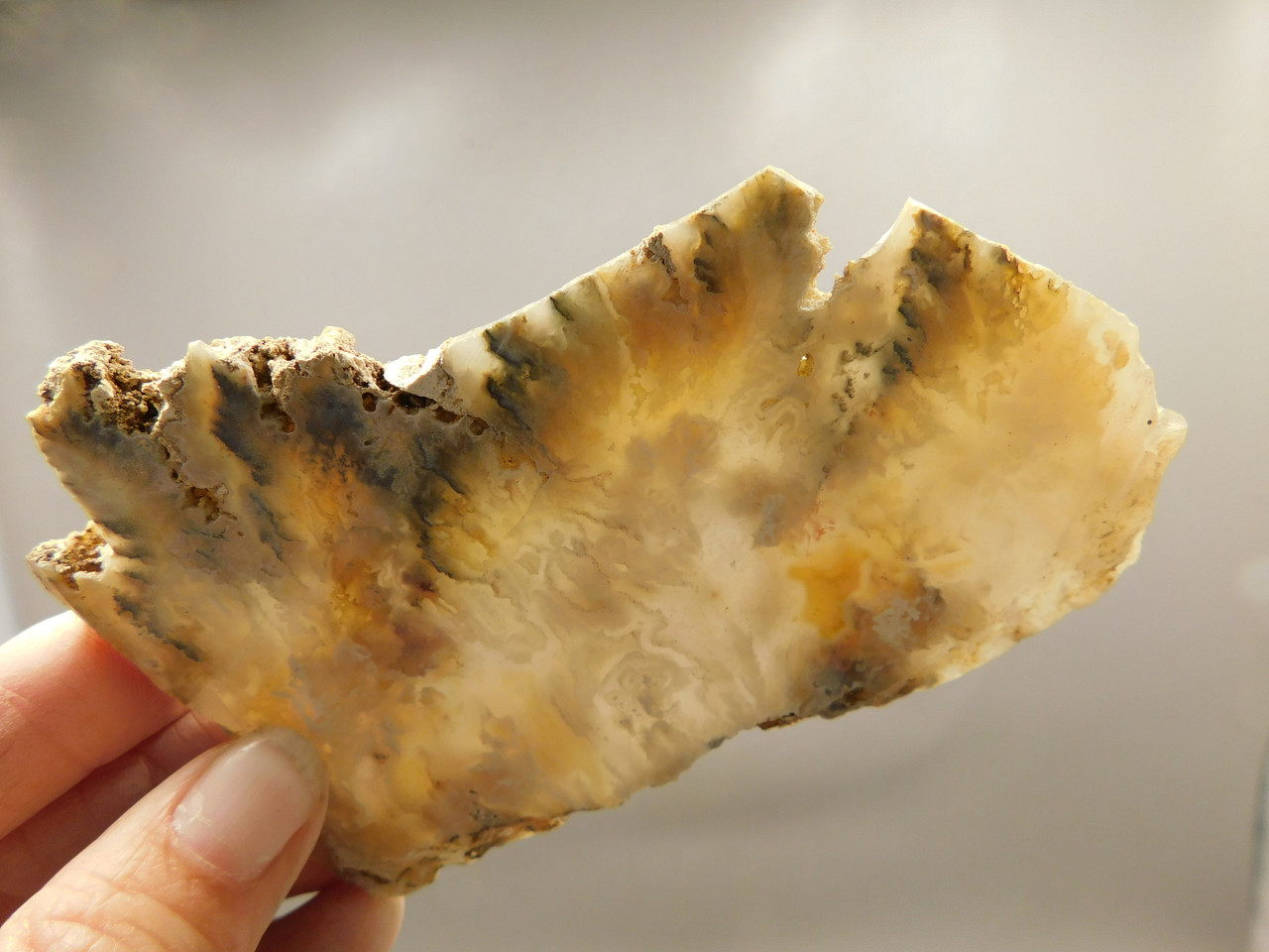 Graveyard Point Plume Agate Stone Slab Unpolished Rock Oregon #O3