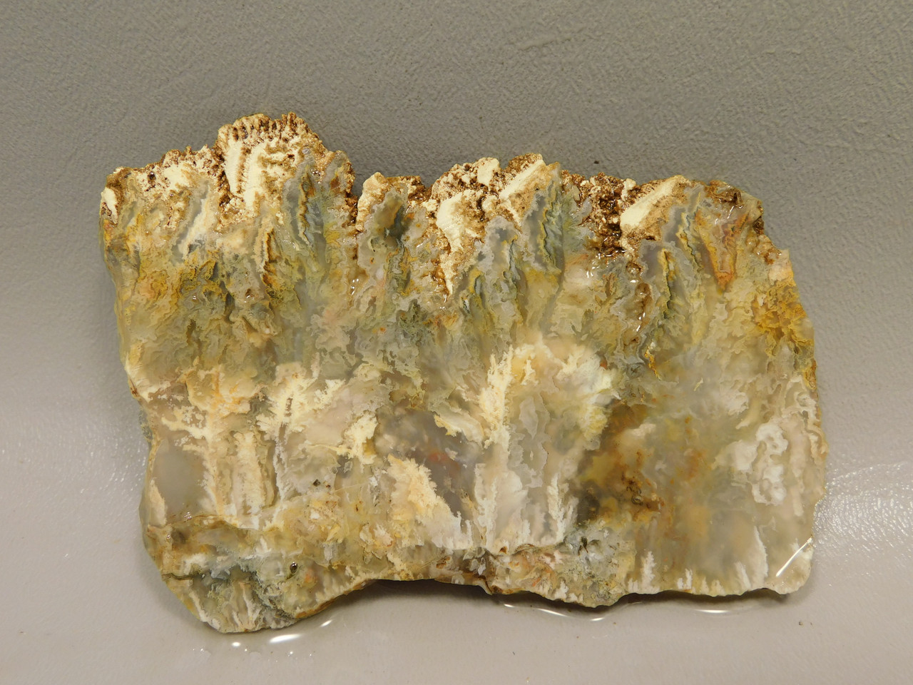 Graveyard Point Plume Agate Stone Slab Unpolished Rock Oregon #O5