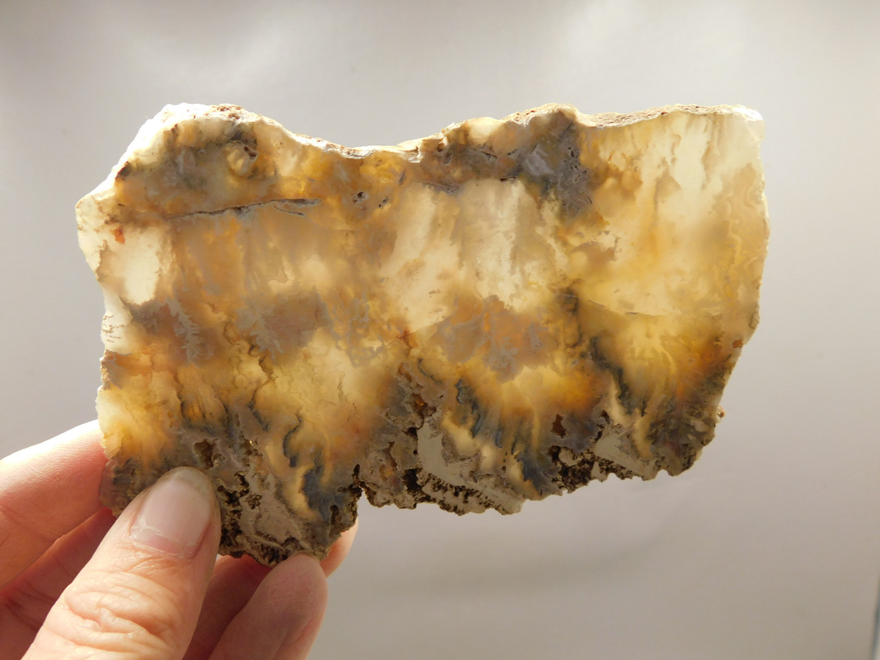 Graveyard Point Plume Agate Stone Slab Unpolished Rock Oregon #O5