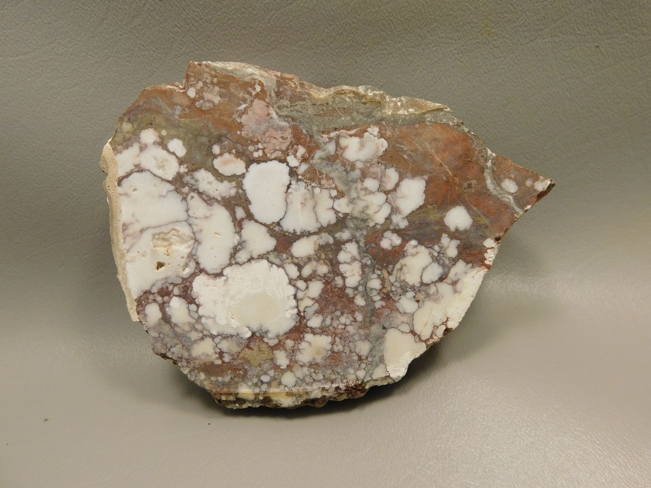Wild Horse Unpolished Rough Rock Lapidary Arizona #O22