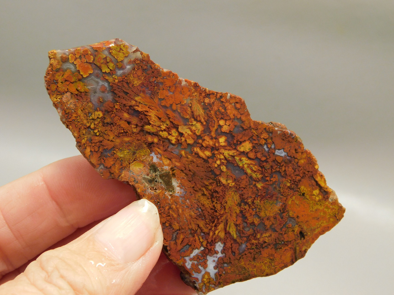 Bloody Basin Plume Agate Stone Slab Unpolished Rock Arizona #O2