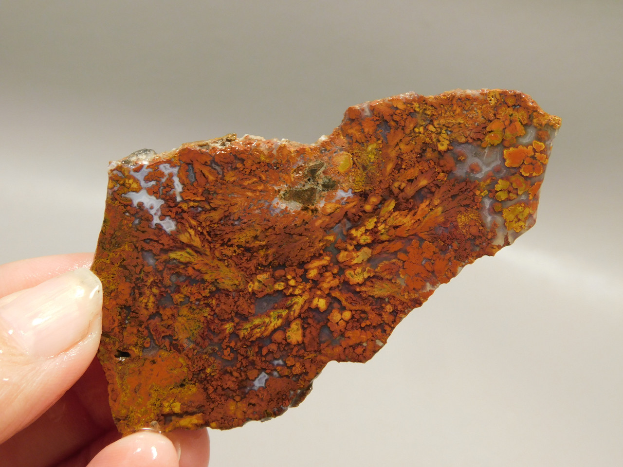 Bloody Basin Plume Agate Stone Slab Unpolished Rock Arizona #O2
