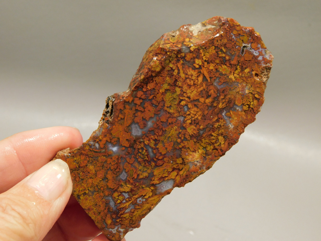 Bloody Basin Plume Agate Stone Slab Unpolished Rock Arizona #O3