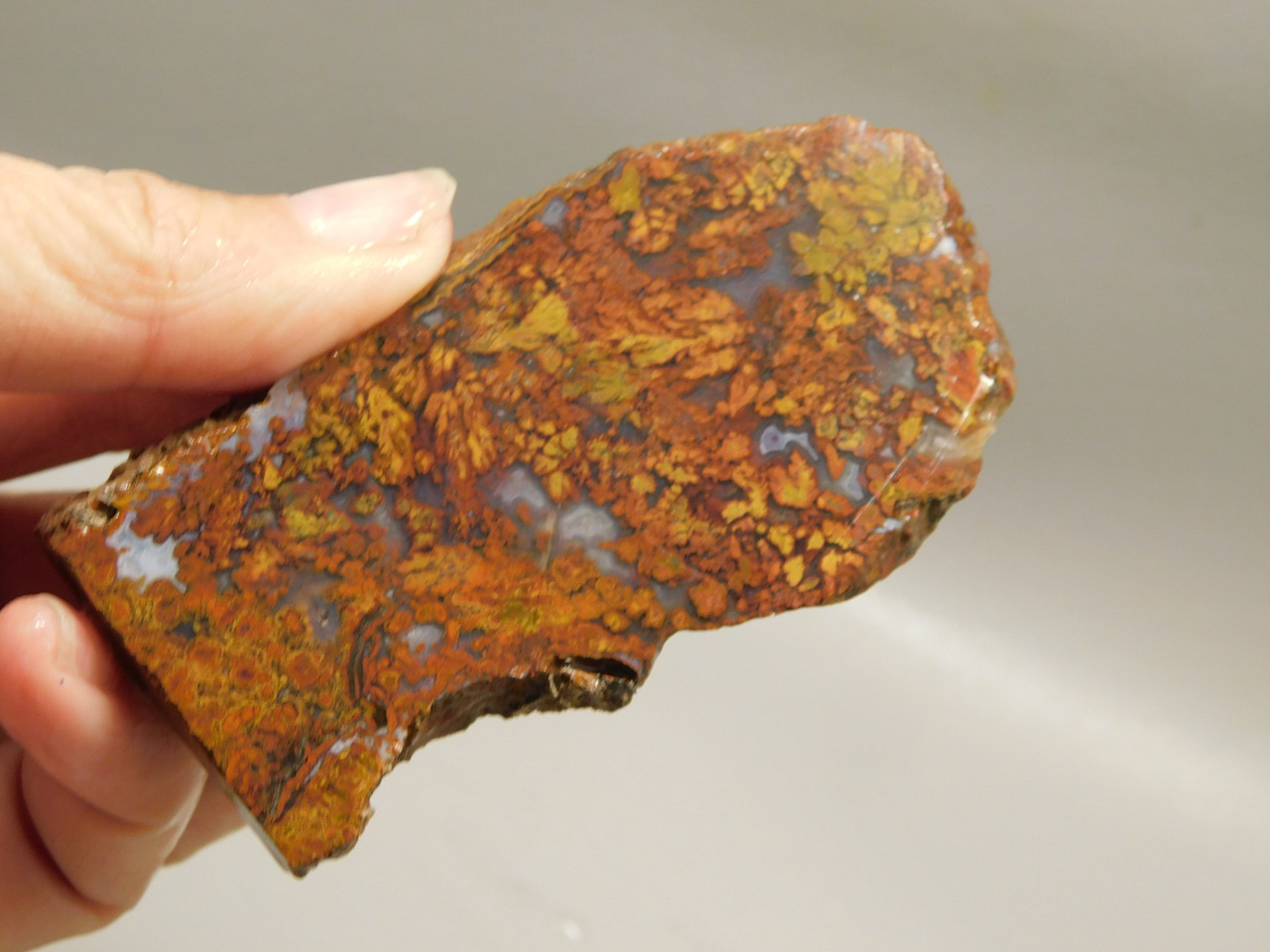 Bloody Basin Plume Agate Stone Slab Unpolished Rock Arizona #O3