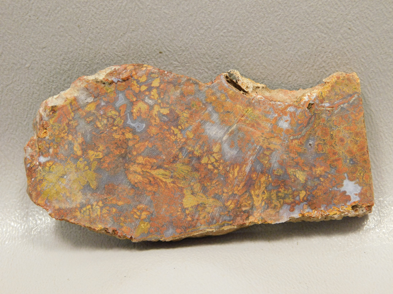 Bloody Basin Plume Agate Stone Slab Unpolished Rock Arizona #O3