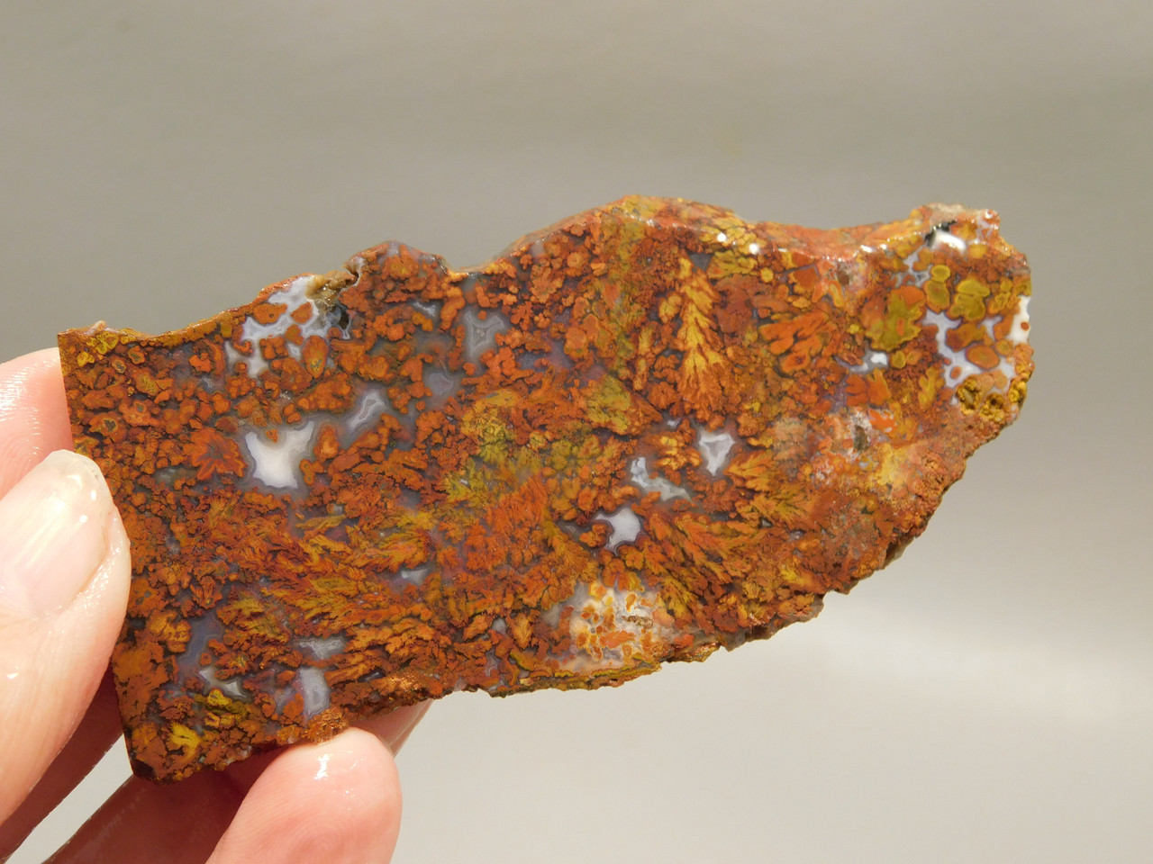 Bloody Basin Plume Agate Stone Slab Unpolished Rock Arizona #O6