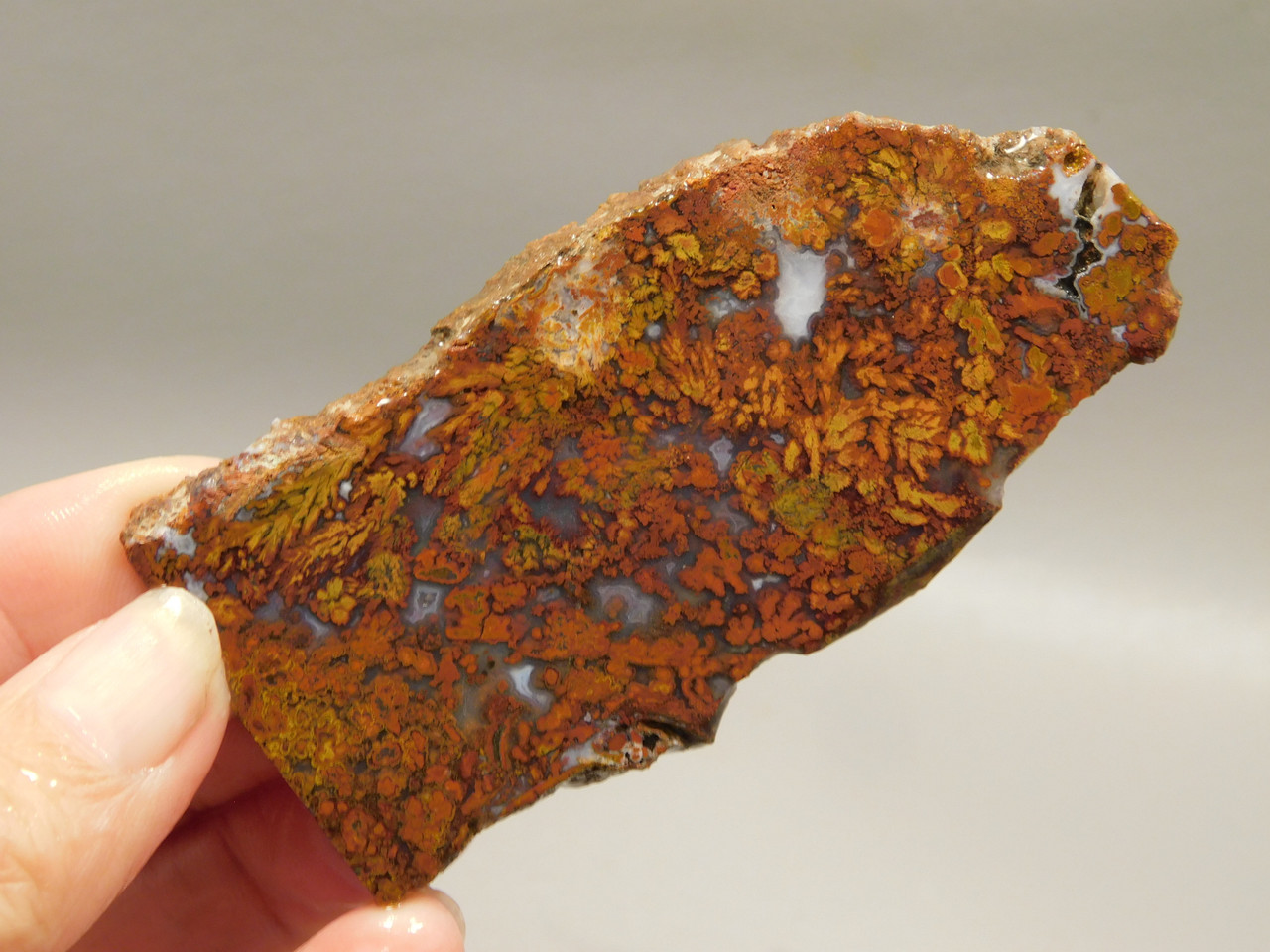 Bloody Basin Plume Agate Stone Slab Unpolished Rock Arizona #O6