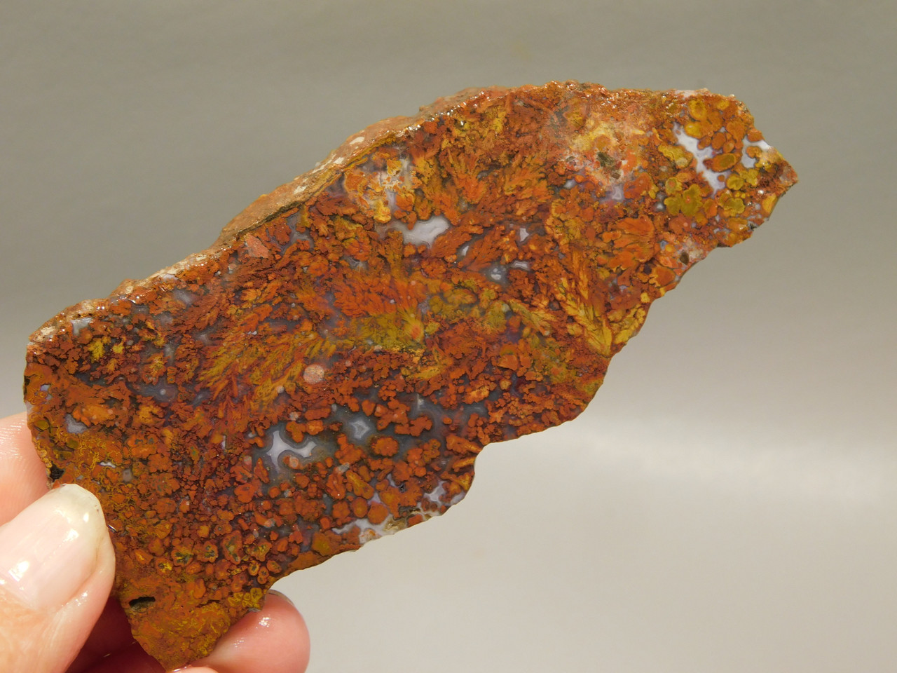 Bloody Basin Plume Agate Stone Slab Unpolished Rock Arizona #O7