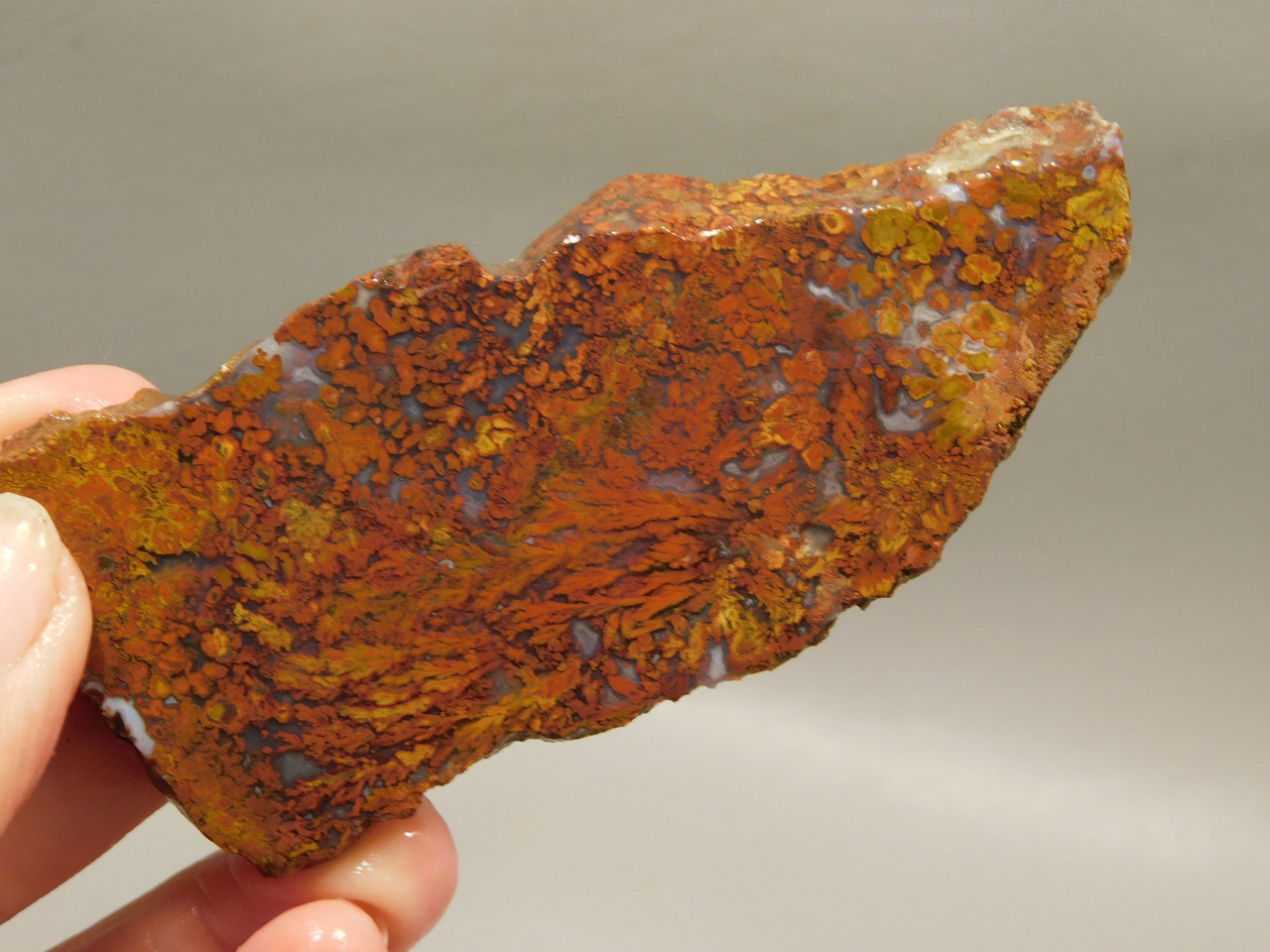 Bloody Basin Plume Agate Stone Slab Unpolished Rock Arizona #O7