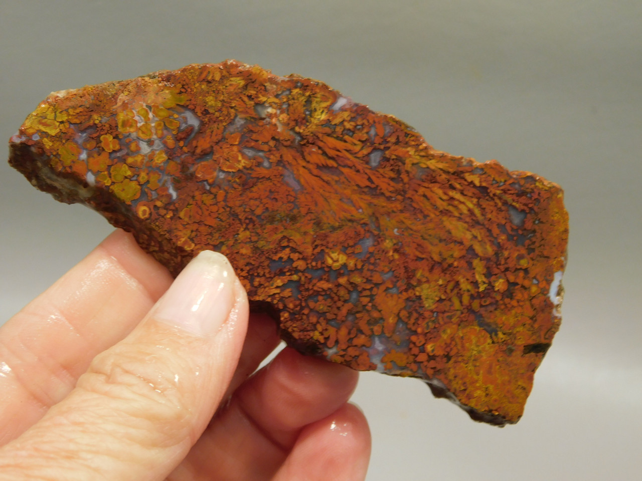 Bloody Basin Plume Agate Stone Slab Unpolished Rock Arizona #O7