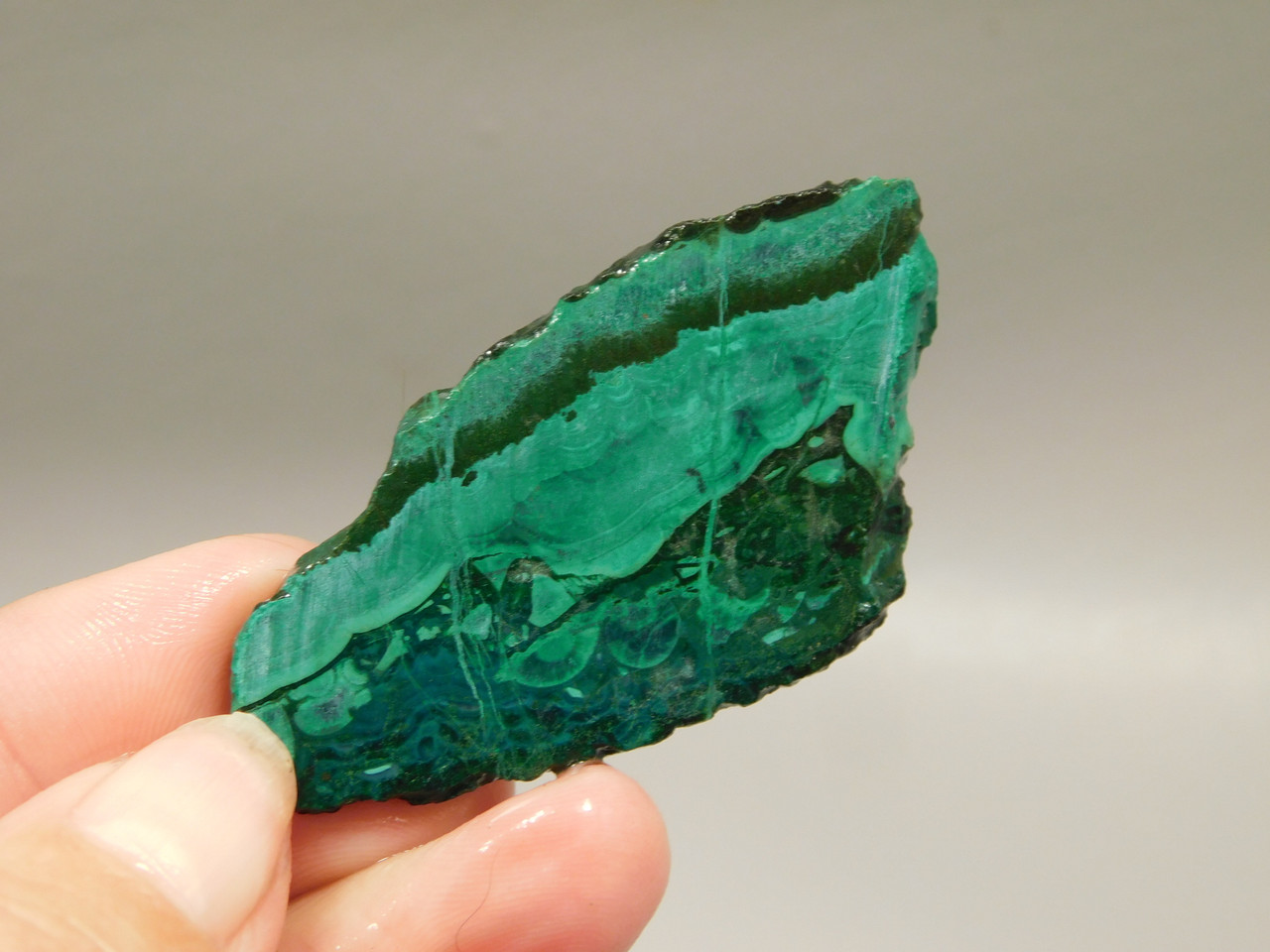 Gem Silica Chrysocolla Inspiration Mine Unpolished Stone Slab #O200