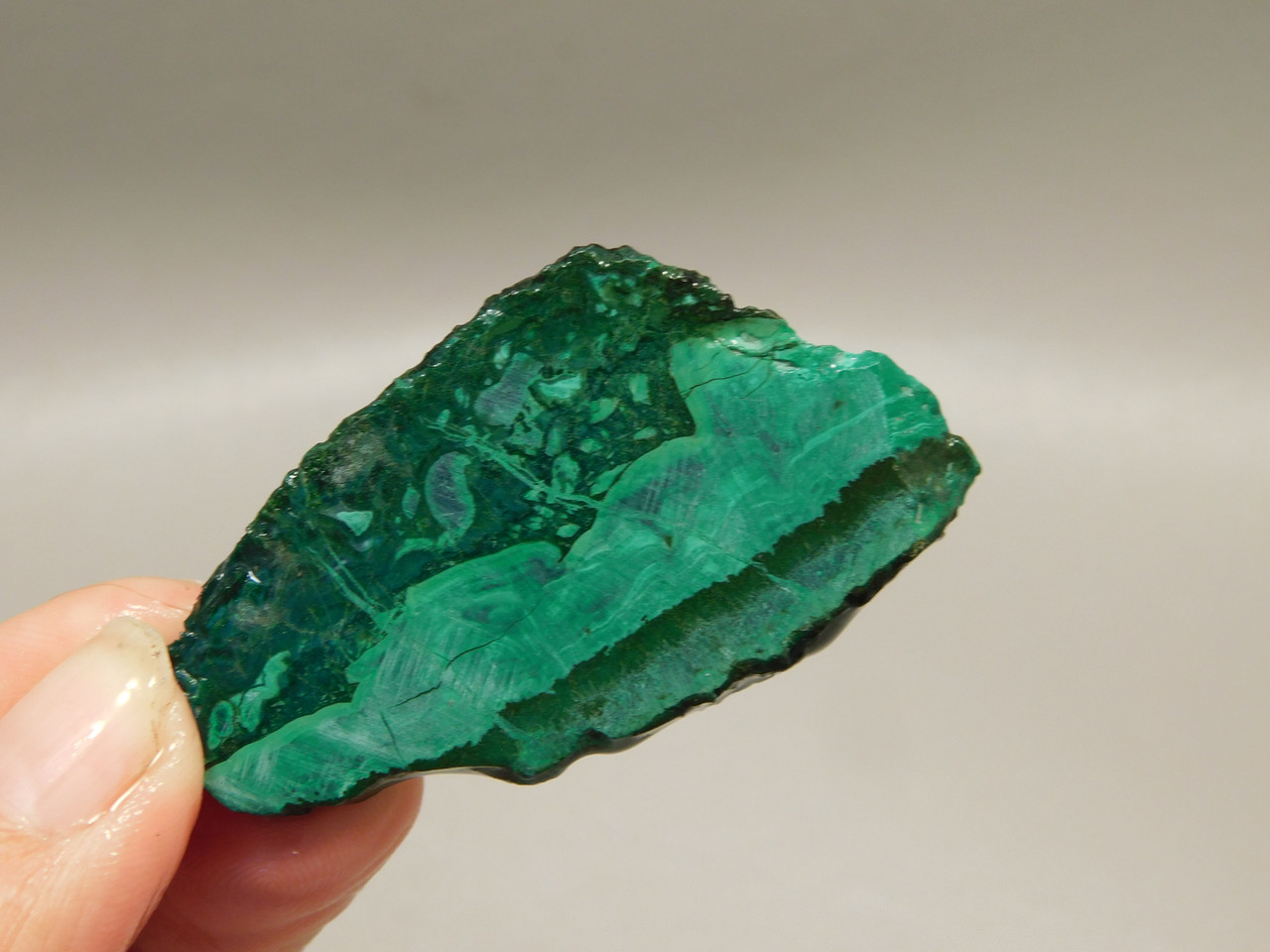 Gem Silica Chrysocolla Inspiration Mine Unpolished Stone Slab #O200