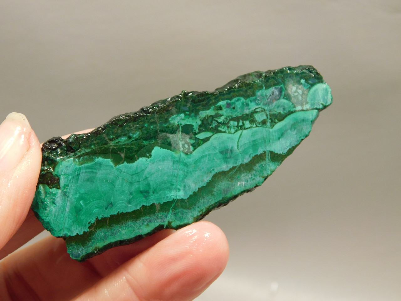 Gem Silica Chrysocolla Inspiration Mine Unpolished Stone Slab #O202