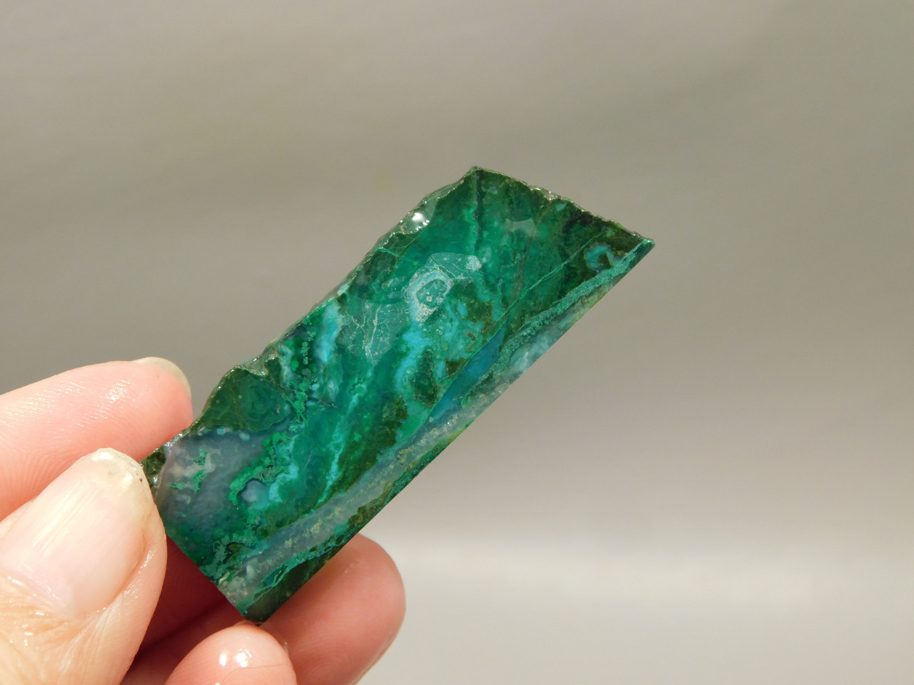 Gem Silica Chrysocolla Inspiration Mine Unpolished Stone Slab #O203