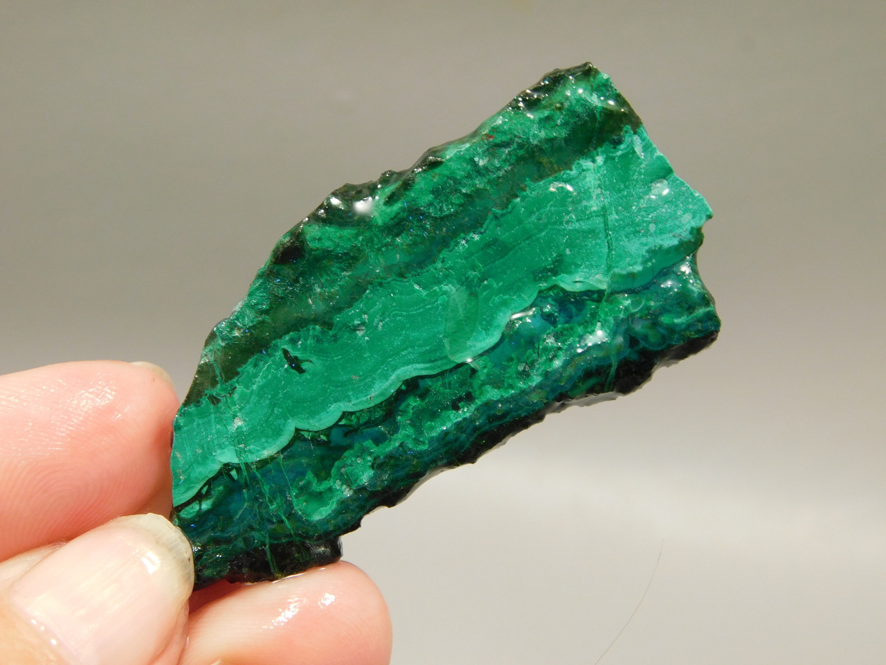 Gem Silica Chrysocolla Inspiration Mine Unpolished Stone Slab #O204