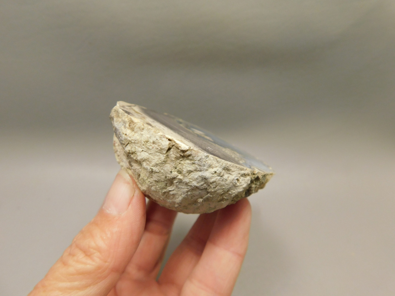 Dugway Thunderegg Polished Rock Geode Blue Agate #O22