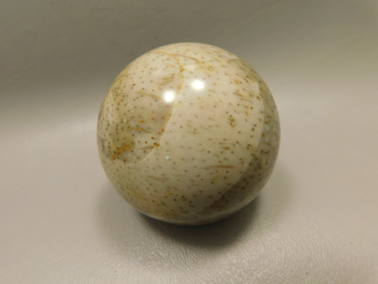 Petrified Palm Wood Sphere 2.15 inch Stone Fossil Indonesia #O36