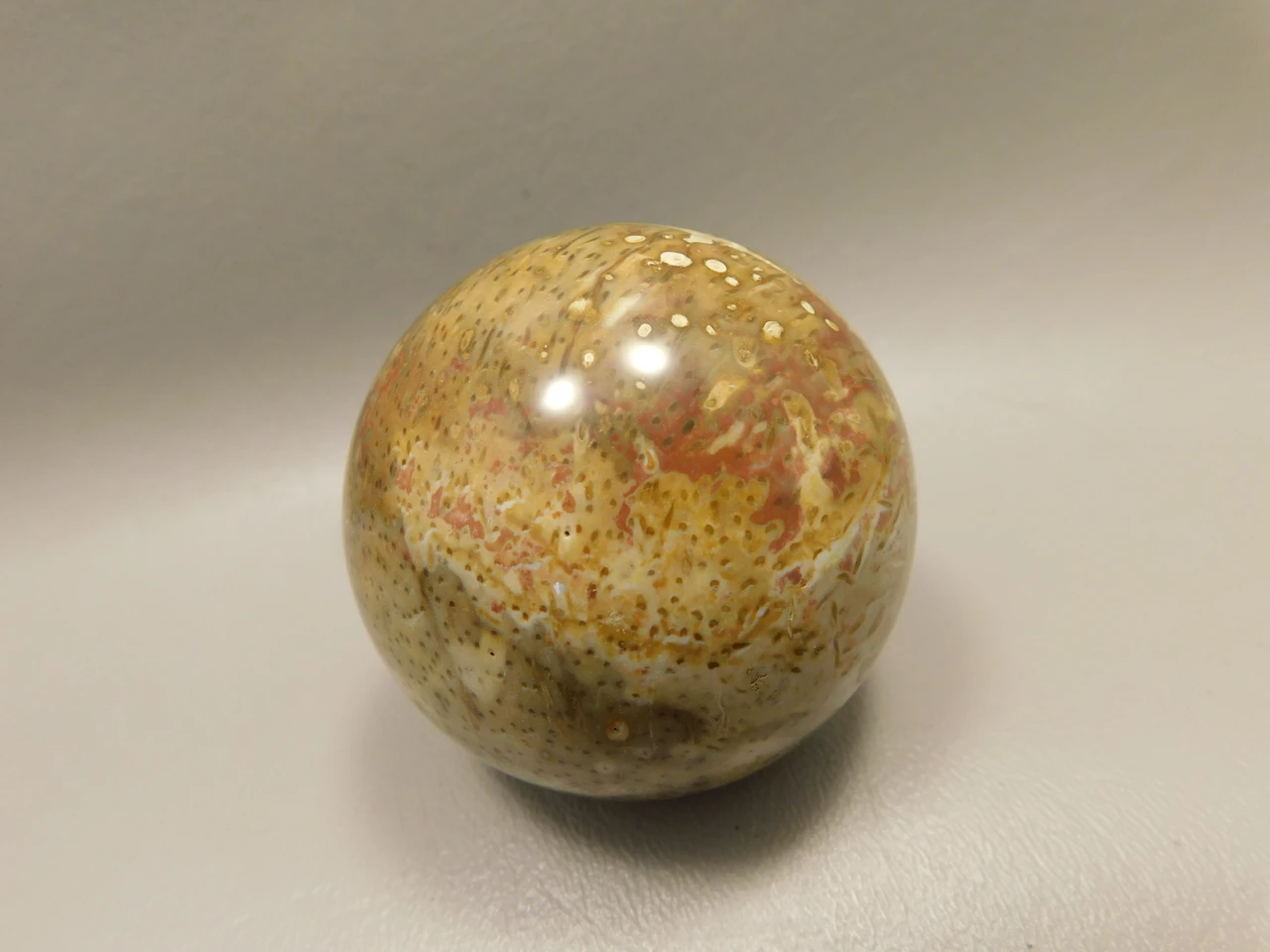 Petrified Palm Wood Sphere 2.15 inch Stone Fossil Indonesia #O36