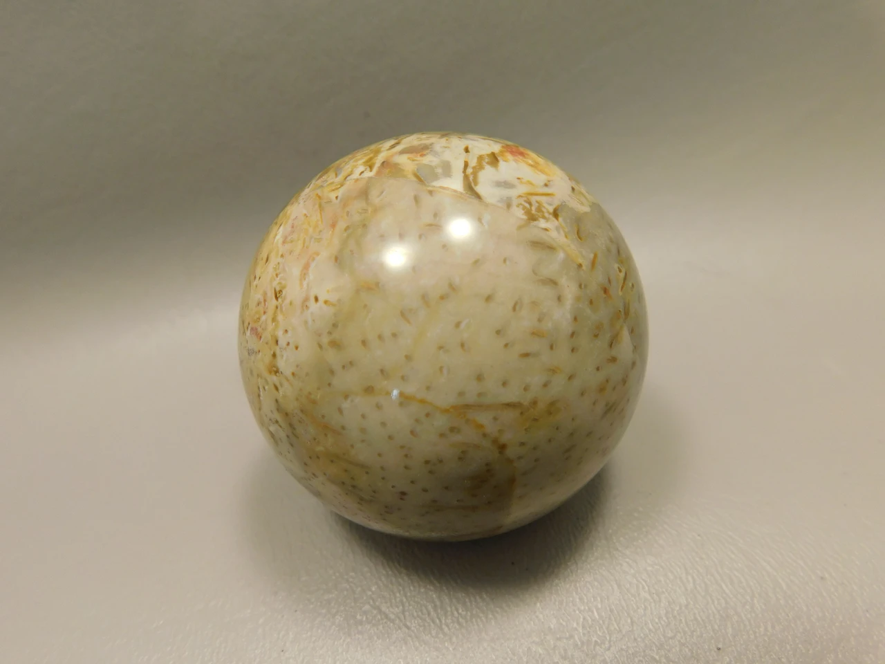Petrified Palm Wood Sphere 2.15 inch Stone Fossil Indonesia #O36