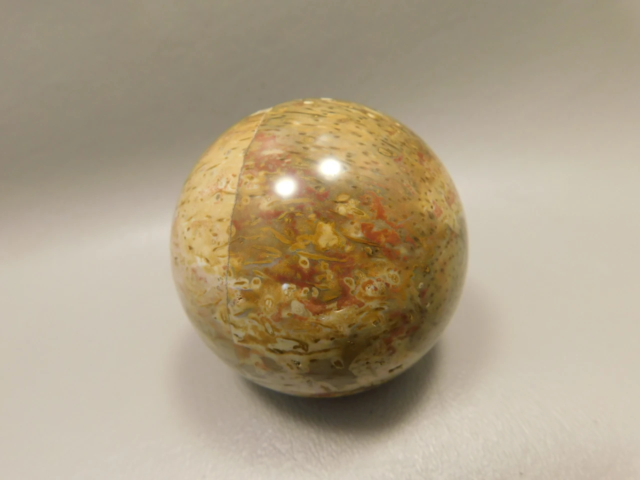 Petrified Palm Wood Sphere 2.15 inch Stone Fossil Indonesia #O36