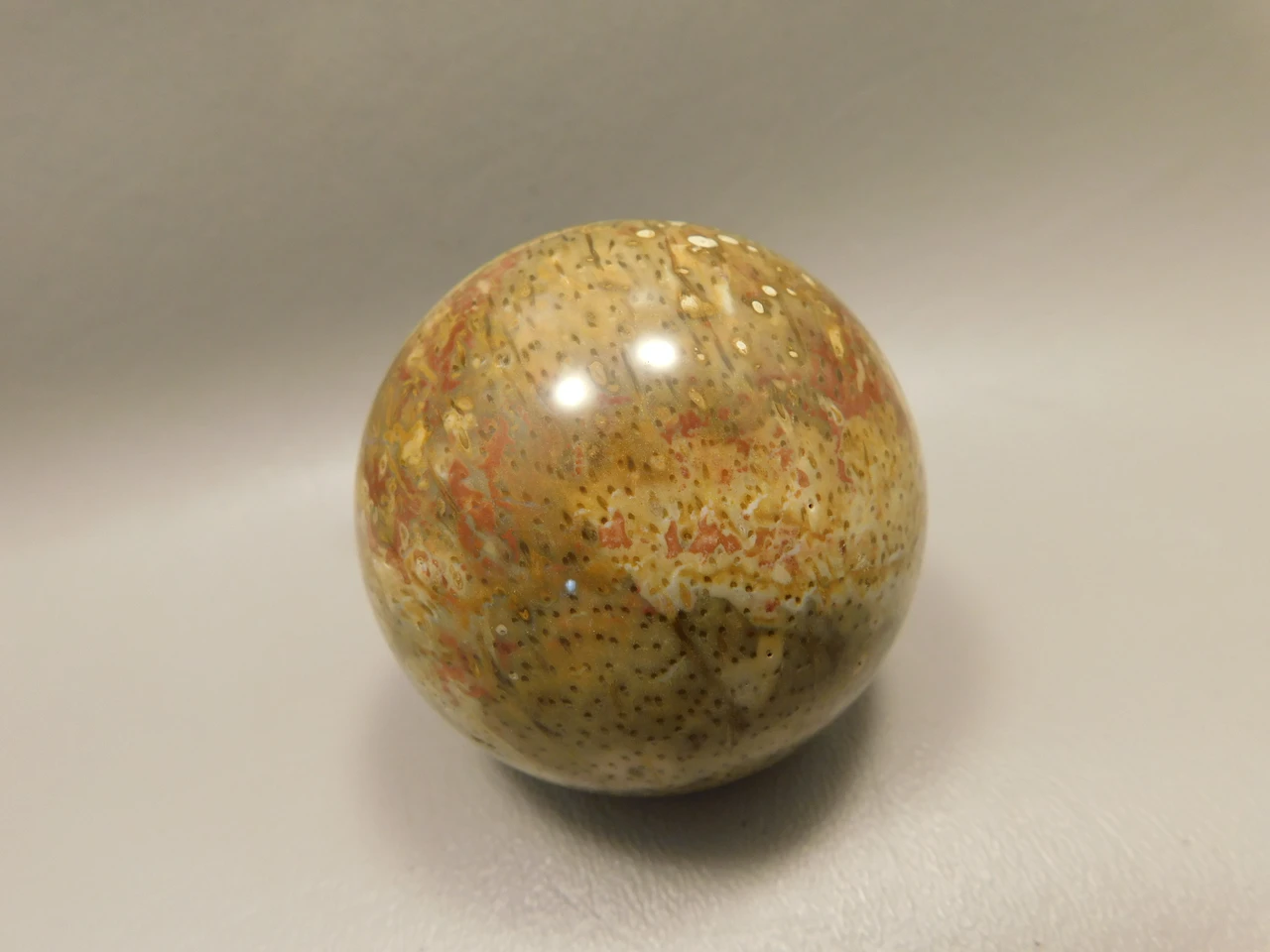 Petrified Palm Wood Sphere 2.15 inch Stone Fossil Indonesia #O36