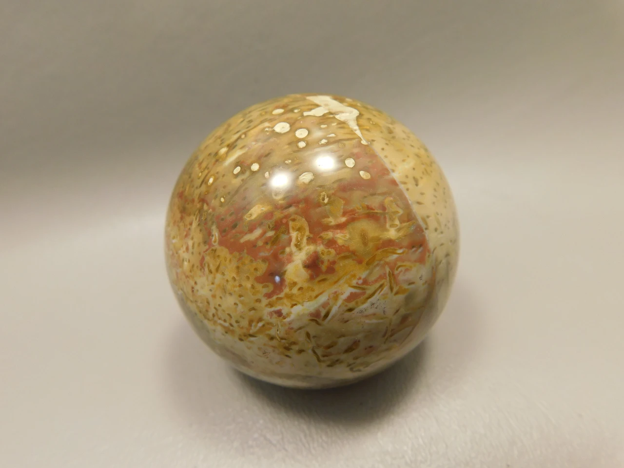 Petrified Palm Wood Sphere 2.15 inch Stone Fossil Indonesia #O36