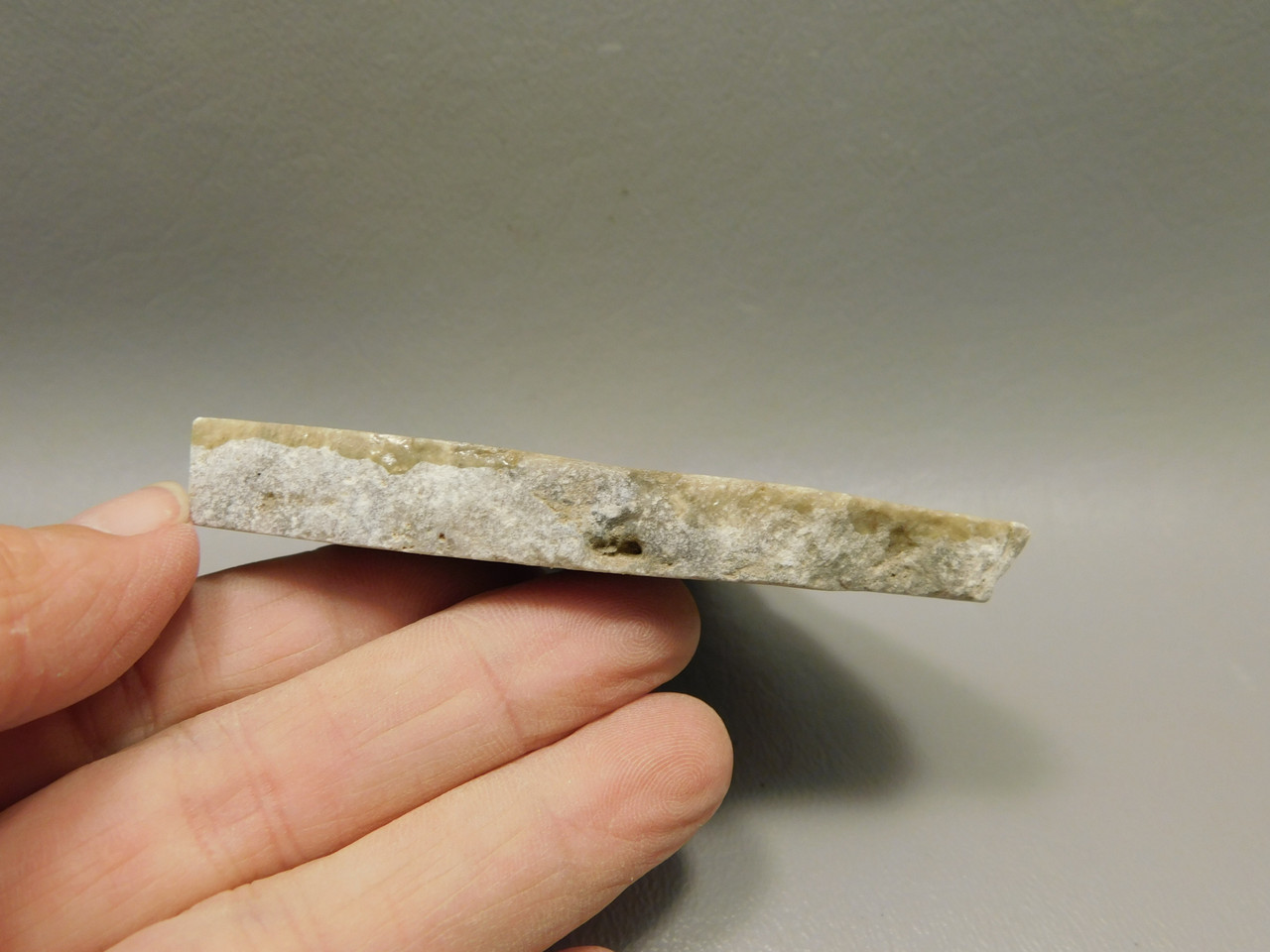 Petoskey Stone Slab Unpolished Rough Rock Fossil Michigan #O4