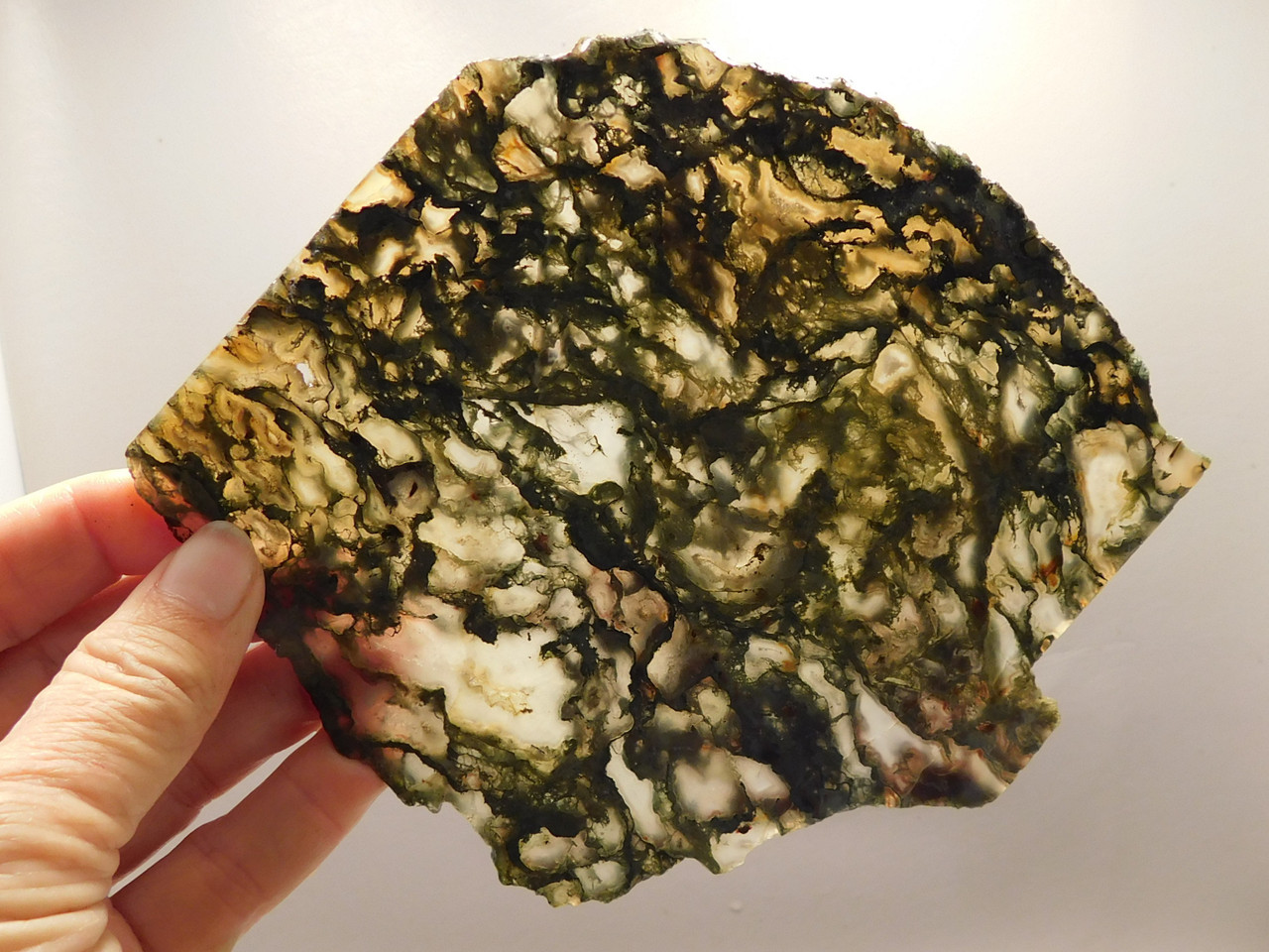 Horse Canyon Agate Stone Slab Unpolished California #O5