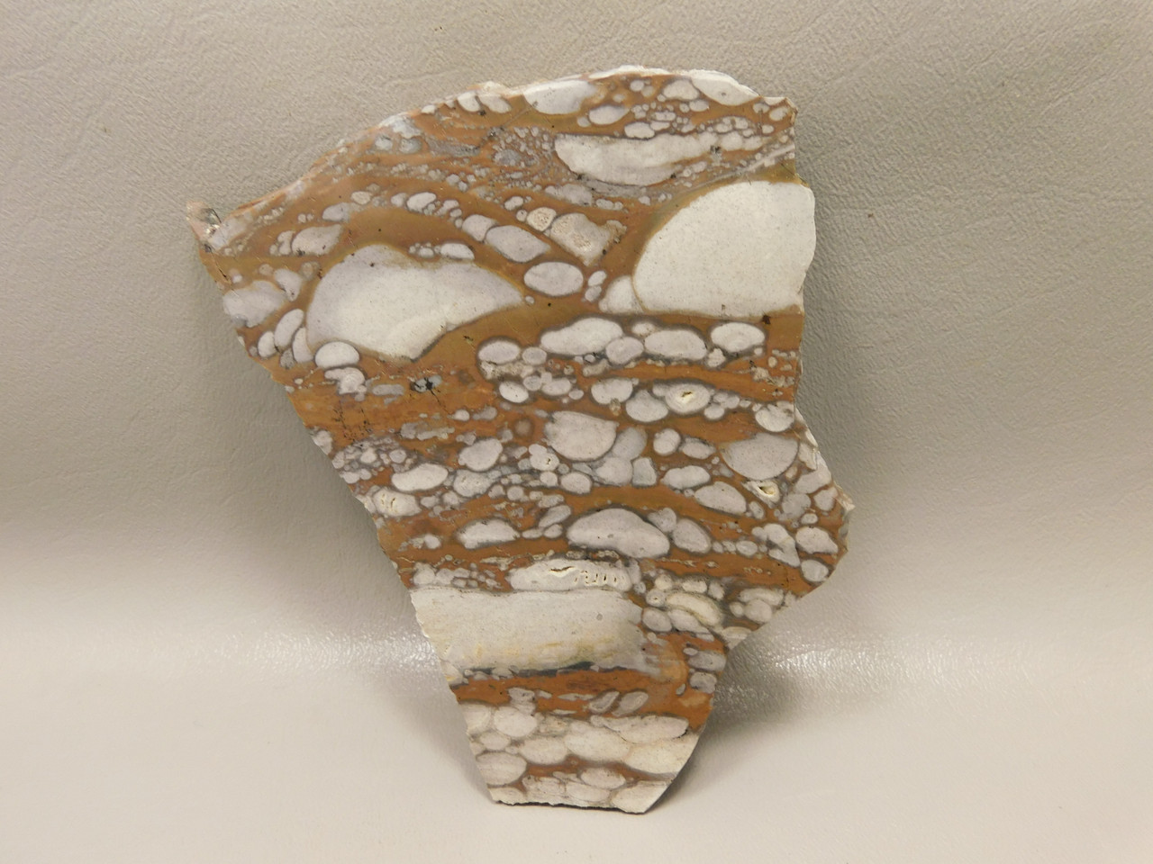 Mushroom Jasper Unpolished Rock Stone Slab Arizona #O6