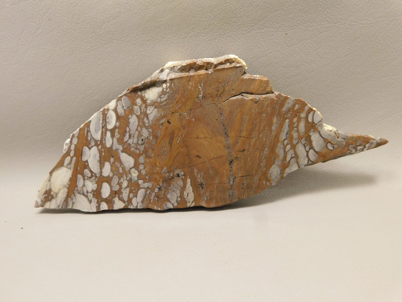 Mushroom Jasper Unpolished Rock Stone Slab Arizona #O7