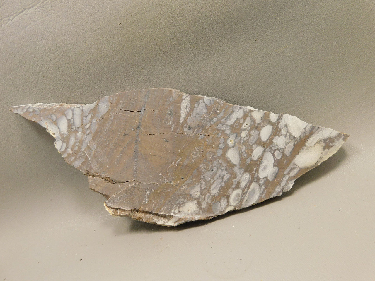 Mushroom Jasper Unpolished Rock Stone Slab Arizona #O7