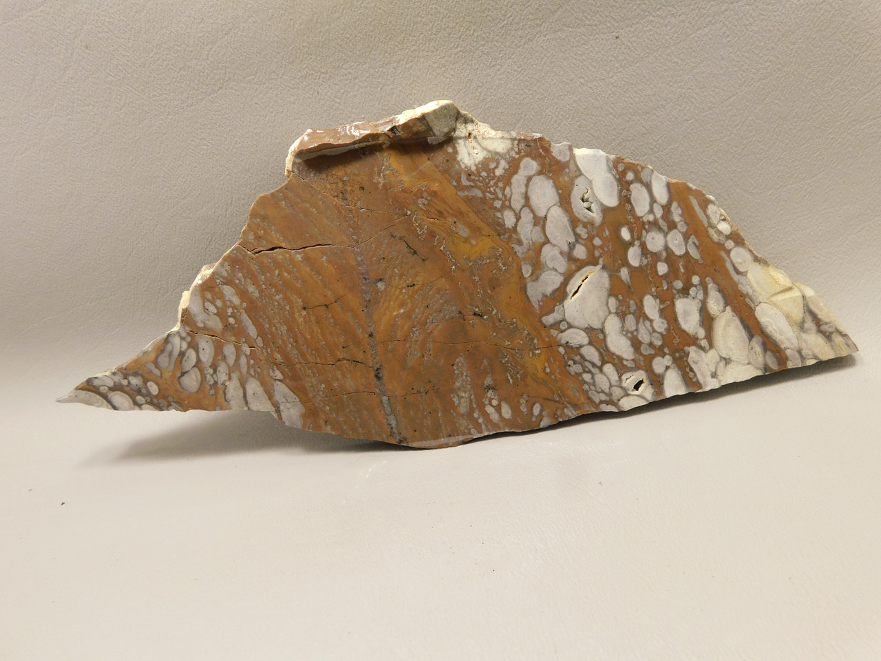 Mushroom Jasper Unpolished Rock Stone Slab Arizona #O7