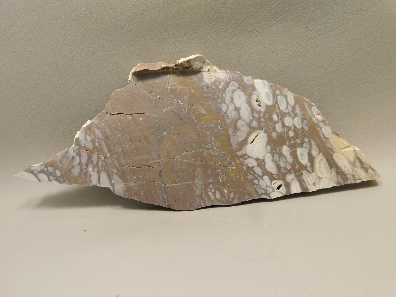 Mushroom Jasper Unpolished Rock Stone Slab Arizona #O7
