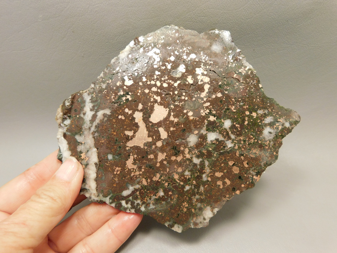 Kingston Conglomerate Copper Stone Slab Rough Rock Michigan #O11