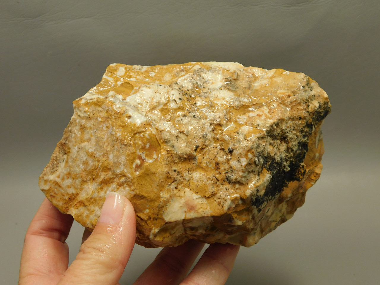 Spotted Fawn Stone or Tigilitis Lapidary Rough Rock #O1