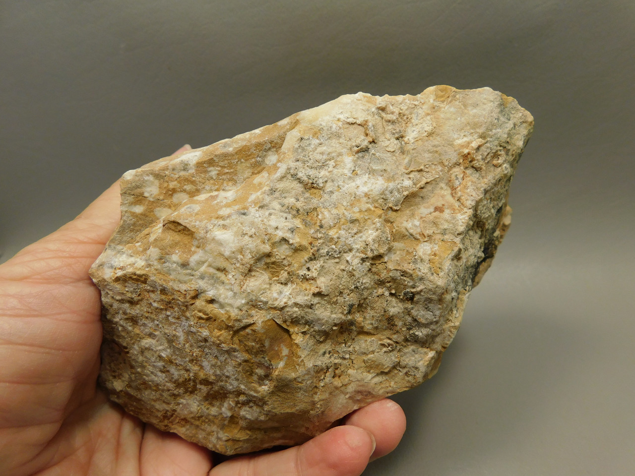 Spotted Fawn Stone or Tigilitis Lapidary Rough Rock #O1