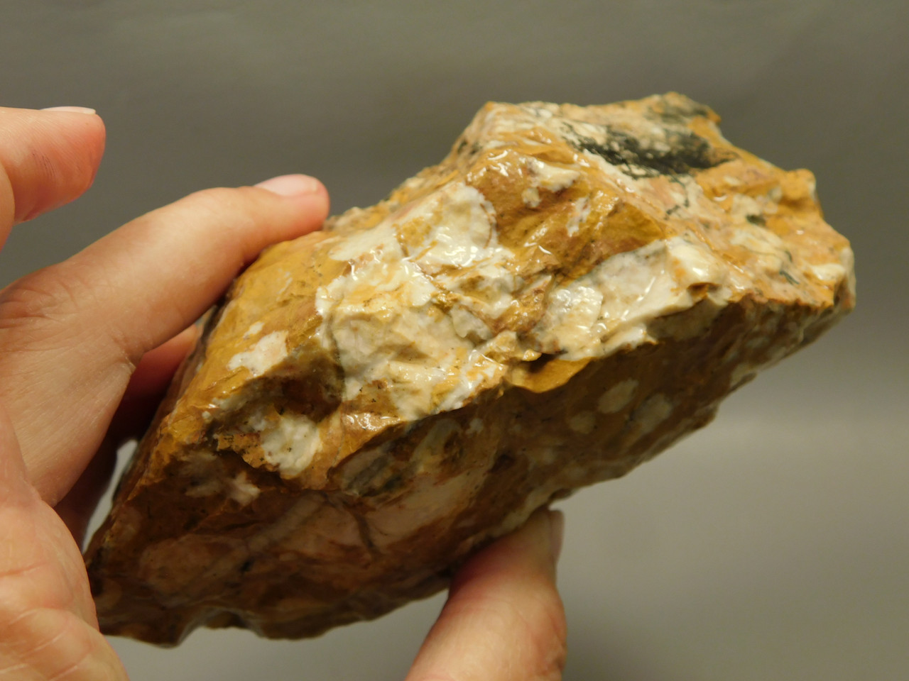 Spotted Fawn Stone or Tigilitis Lapidary Rough Rock #O1