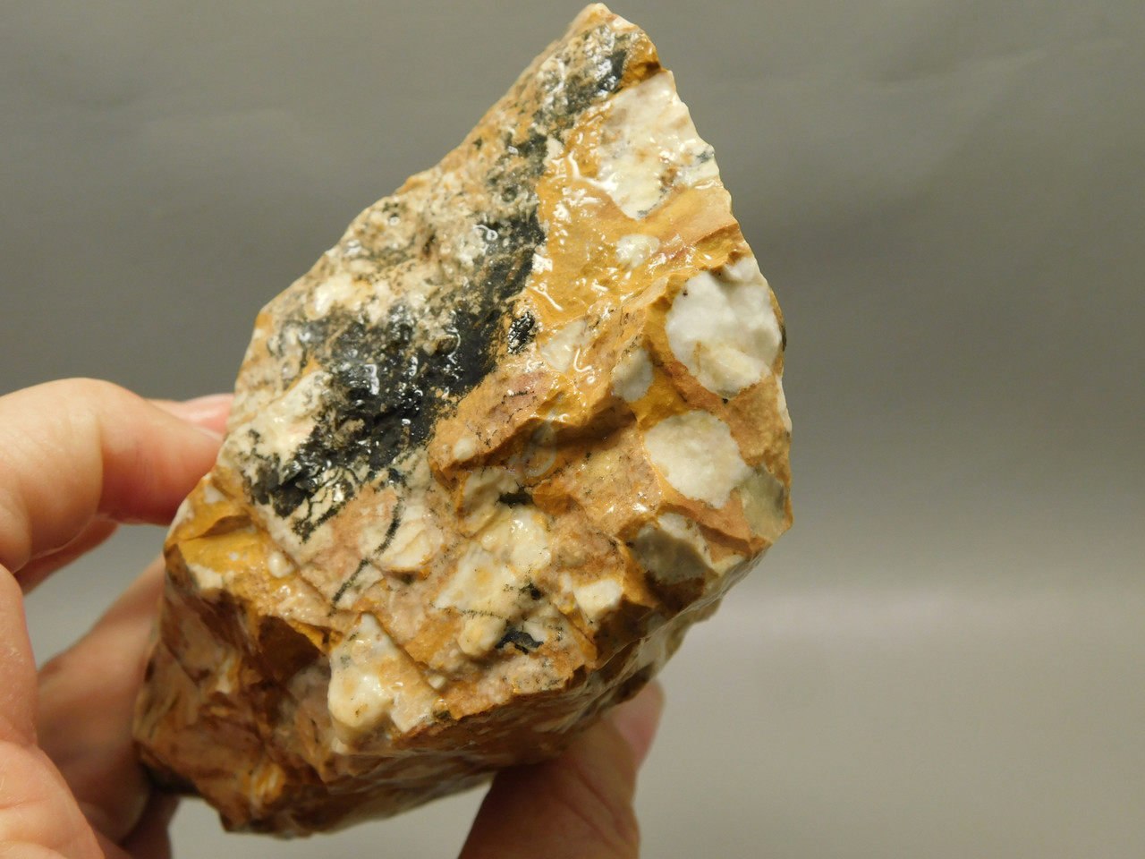Spotted Fawn Stone or Tigilitis Lapidary Rough Rock #O1