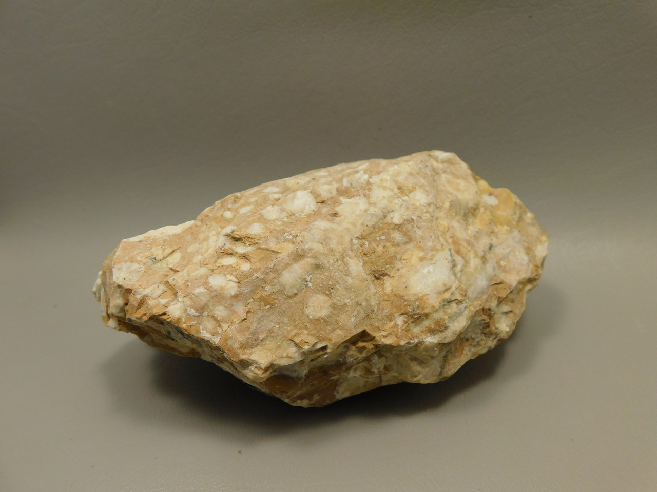 Spotted Fawn Stone or Tigilitis Lapidary Rough Rock #O1