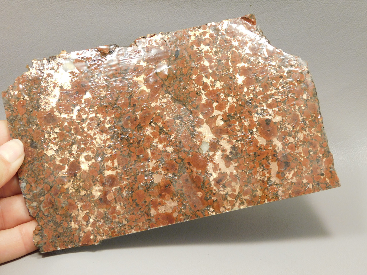 Copper Rose Stone Slab Kingston Conglomerate Rough Rock #O3
