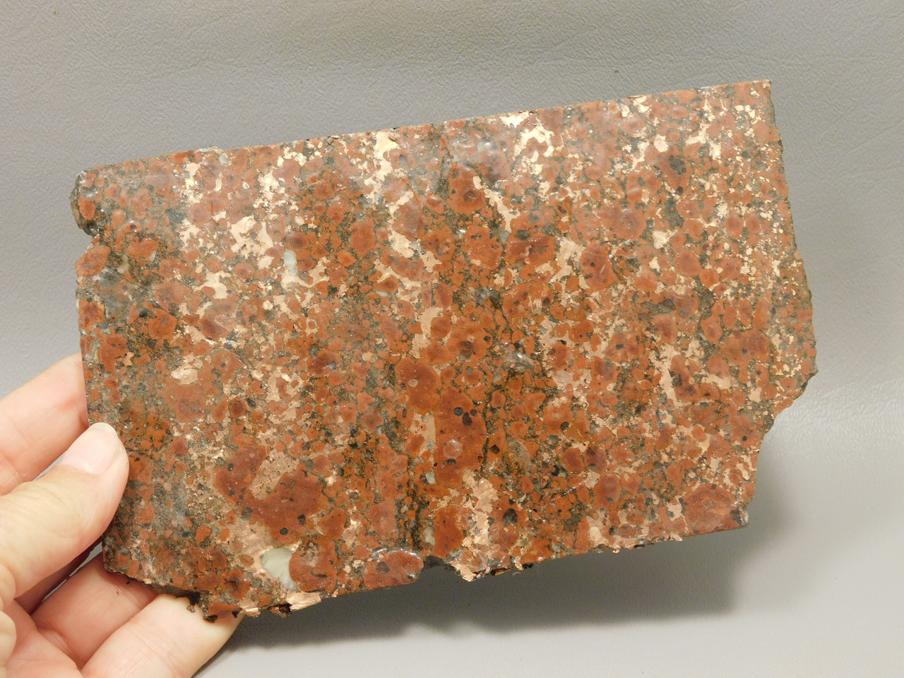 Copper Rose Stone Slab Kingston Conglomerate Rough Rock #O3