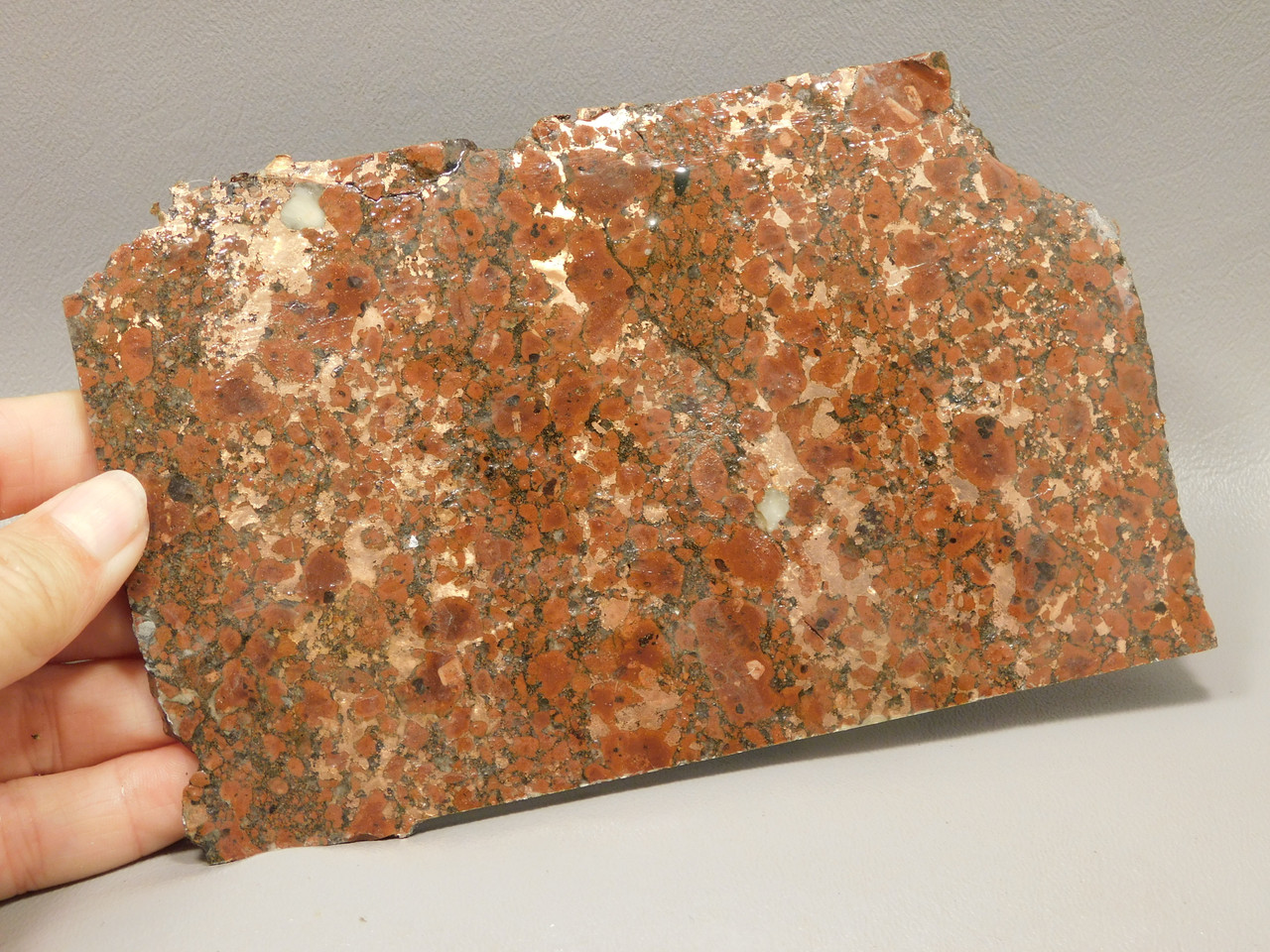 Copper Rose Stone Slab Kingston Conglomerate Rough Rock #O3