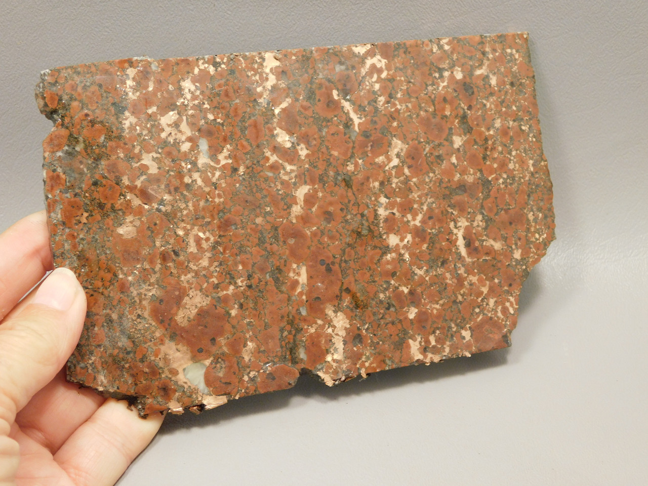 Copper Rose Stone Slab Kingston Conglomerate Rough Rock #O3