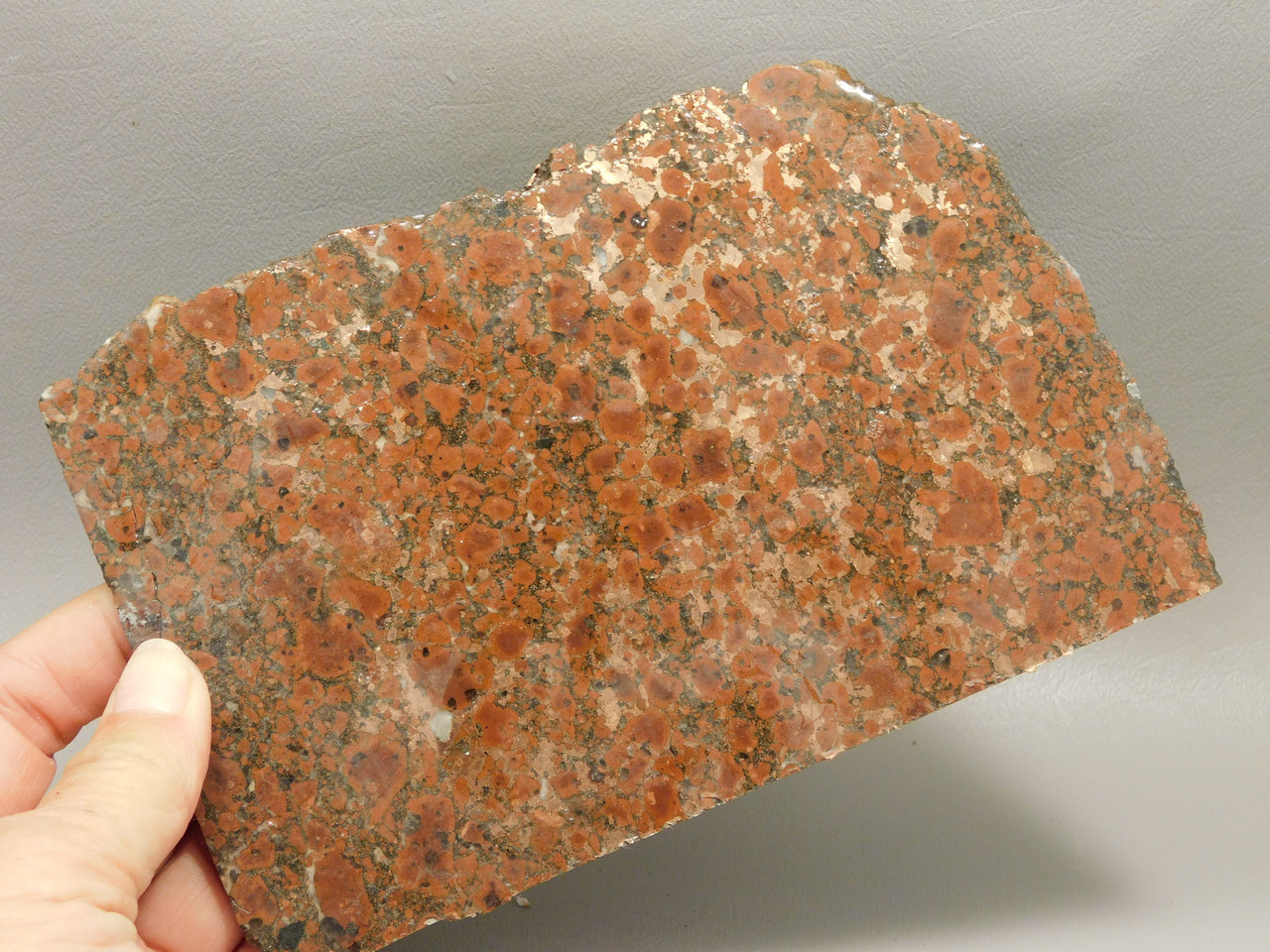 Copper Rose Stone Slab Kingston Conglomerate Rough Rock #O4