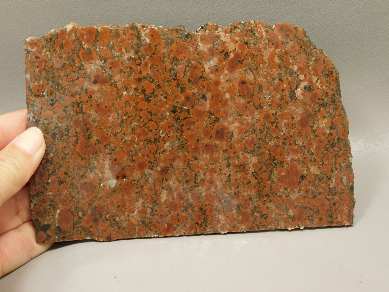Copper Rose Stone Slab Kingston Conglomerate Rough Rock #O4