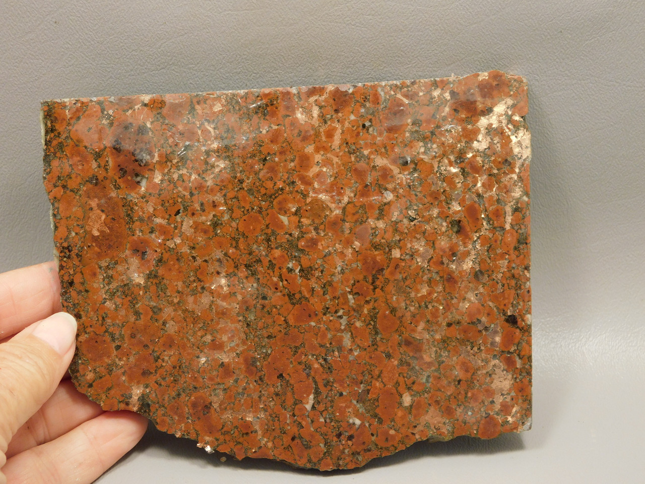 Copper Rose Stone Slab Kingston Conglomerate Rough Rock #O5