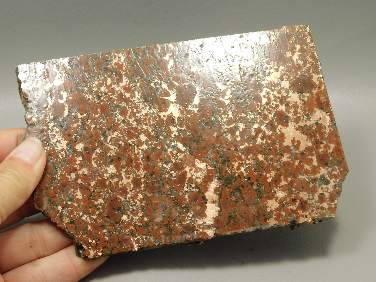 Copper Rose Stone Slab Kingston Conglomerate Rough Rock #O6