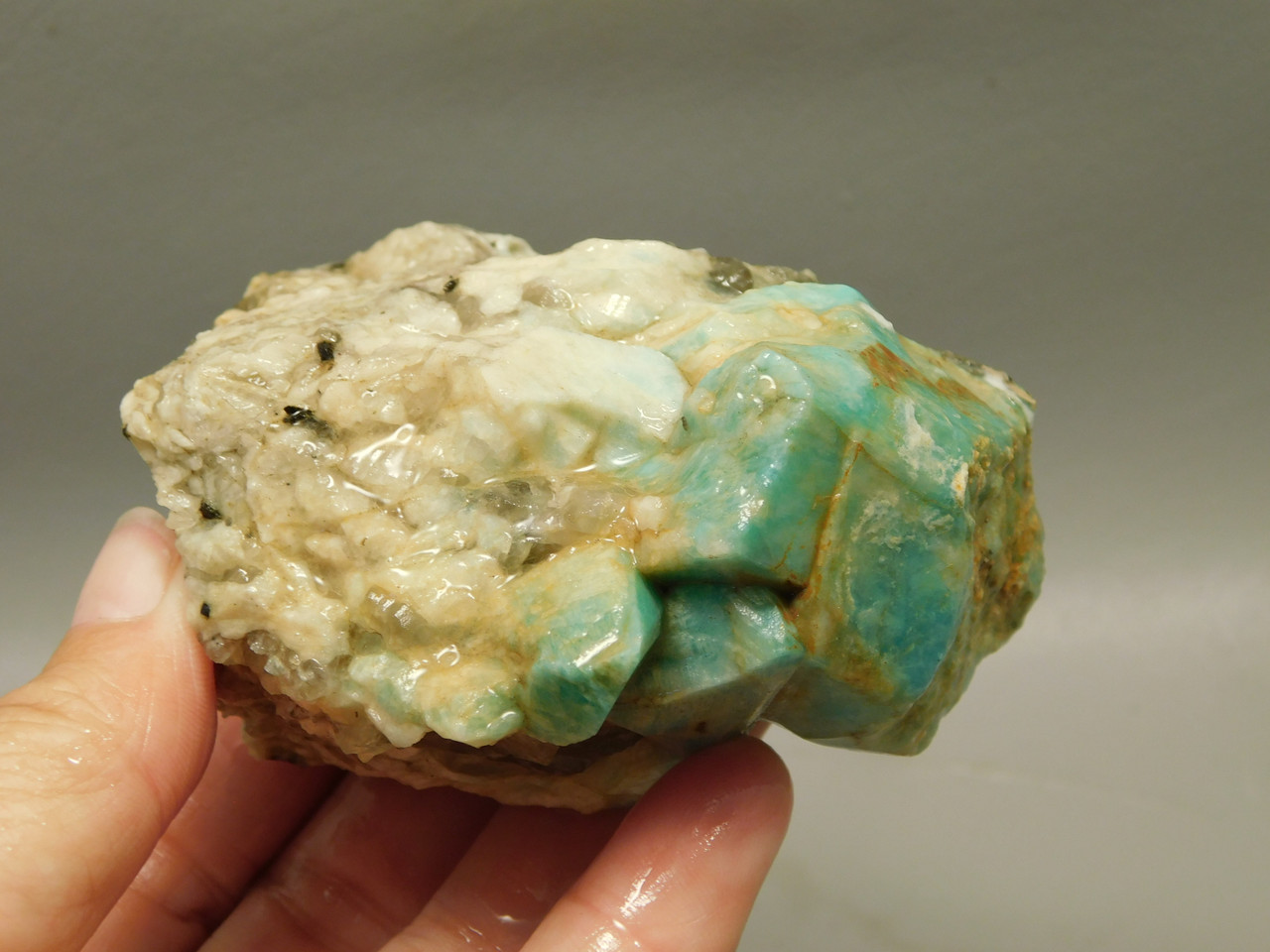 Amazonite Crystal Mineral Specimen Colorado #O2